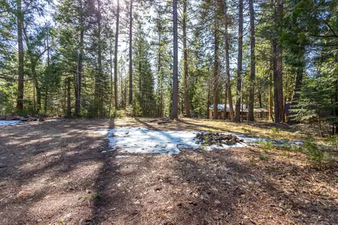 View/Area - 36547 Ca-44, Shingletown, CA 96088 photo 3 of 4