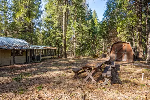 Exterior - 36547 Ca-44, Shingletown, CA 96088 photo 2 of 16