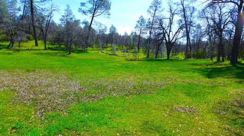 Lot 16 Holiday Way, Bella Vista, CA 96008