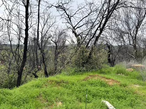 13931 Down Pages Ln, Redding, CA 96003 photo 13