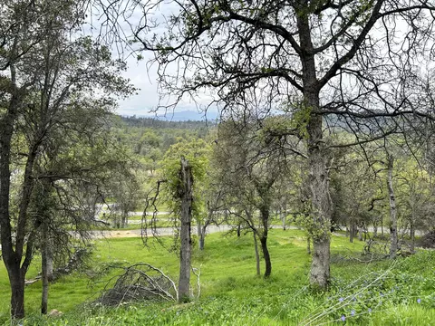 13931 Down Pages Ln, Redding, CA 96003 photo 5