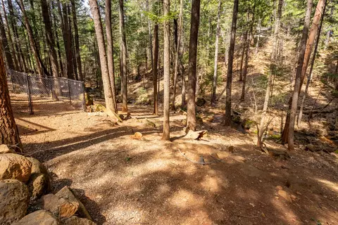 30568 Thumper Dr, Shingletown, CA 96088 photo 19