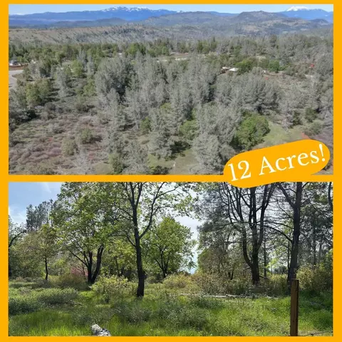 11 94 Acre Dersch Rd, Shingletown, CA 96088
