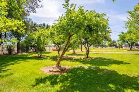 View/Area - 19950 Red Bank Rd, Red Bluff, CA 96080 photo 3 of 13
