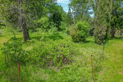 View/Area - 10490 Hobbie Acres Dr, Redding, CA 96003 photo 13 of 16