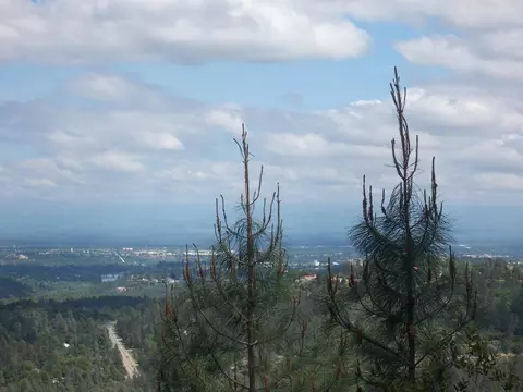 Brunswick, Redding, CA 96087 photo 2