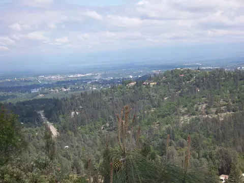 Brunswick, Redding, CA 96087 photo 8