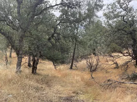 Justice Mine Rd., Redding, CA 96001 photo 5