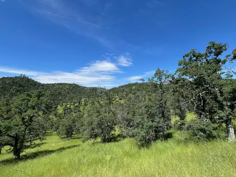 40 Trinity Alps Vista Rd, Igo, CA 96047 photo 3