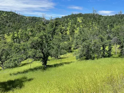 40 Trinity Alps Vista Rd, Igo, CA 96047 photo 2