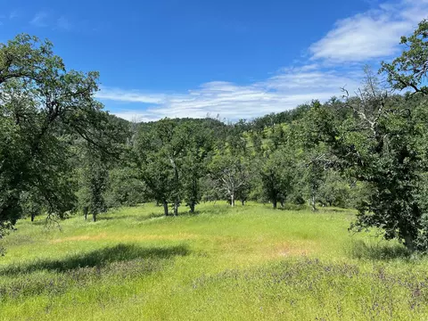 40 Trinity Alps Vista Rd, Igo, CA 96047 photo 8