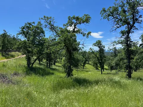 40 Trinity Alps Vista Rd, Igo, CA 96047 photo 6