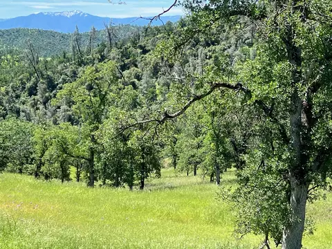 40 Trinity Alps Vista Rd, Igo, CA 96047 photo 10