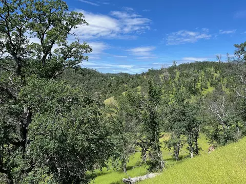 40 Trinity Alps Vista Rd, Igo, CA 96047 photo 11