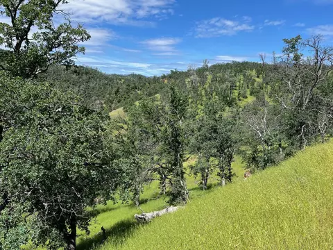 40 Trinity Alps Vista Rd, Igo, CA 96047 photo 15