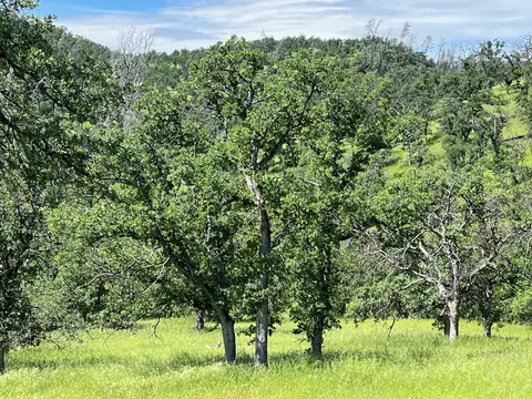 40 Trinity Alps Vista Rd, Igo, CA 96047 photo 12