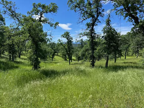 40 Trinity Alps Vista Rd, Igo, CA 96047 photo 4