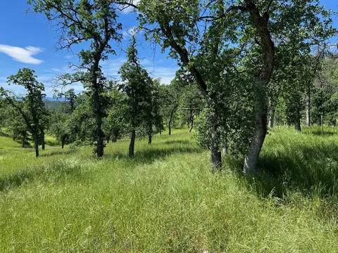 40 Trinity Alps Vista Rd, Igo, CA 96047 photo 7
