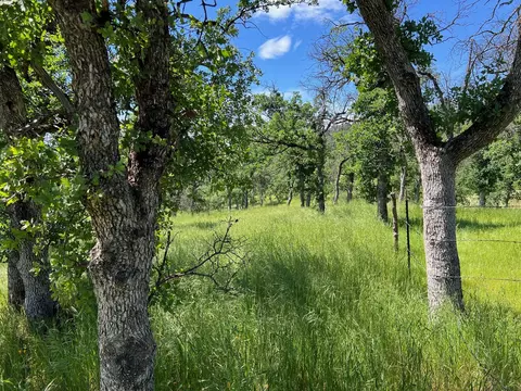 40 Trinity Alps Vista Rd, Igo, CA 96047 photo 5