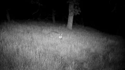 Lot 62 Nono Rd, Ono, CA 96047 photo 5