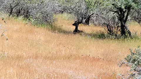 Lot 62 Nono Rd, Ono, CA 96047 photo 19