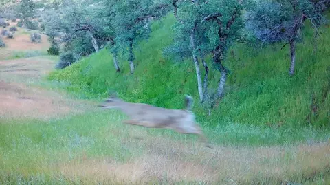 Lot 62 Nono Rd, Ono, CA 96047 photo 3