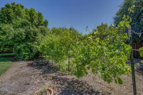 2535 Hawn Ave, Redding, CA 96002 photo 18