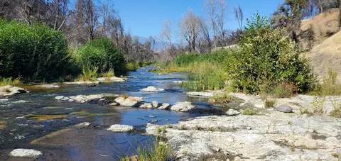 Undisclosed, Ono, CA 96047