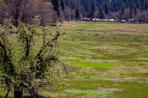 Other - 1040 Mullane Trl, Big Bar, CA 96010 photo 28 of 34