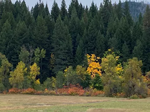Other - 1040 Mullane Trl, Big Bar, CA 96010 photo 1 of 34