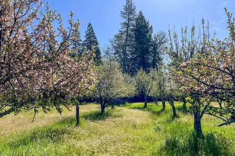Other - 1040 Mullane Trl, Big Bar, CA 96010 photo 31 of 34