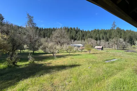 Exterior - 1040 Mullane Trl, Big Bar, CA 96010 photo 4 of 6