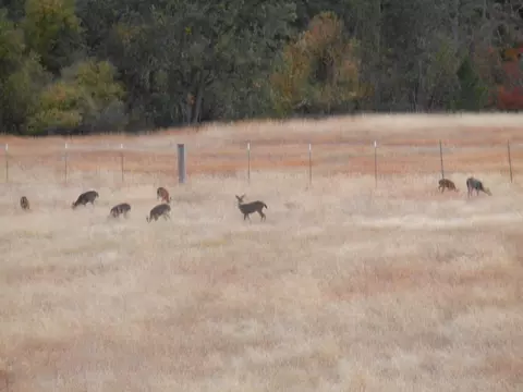 Other - 1040 Mullane Trl, Big Bar, CA 96010 photo 4 of 34
