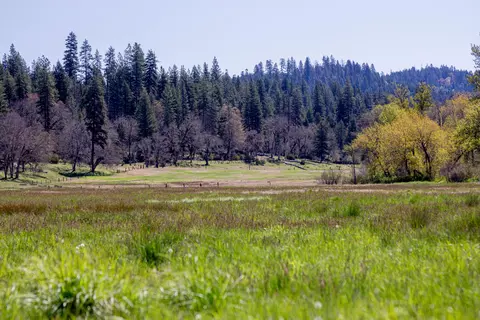 Other - 1040 Mullane Trl, Big Bar, CA 96010 photo 20 of 34