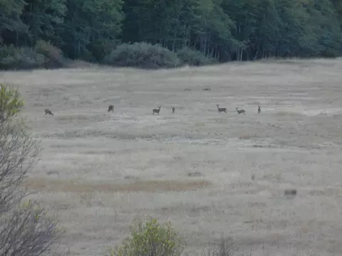 Other - 1040 Mullane Trl, Big Bar, CA 96010 photo 9 of 34