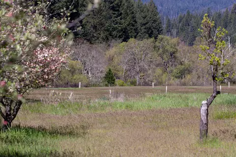 Other - 1040 Mullane Trl, Big Bar, CA 96010 photo 32 of 34