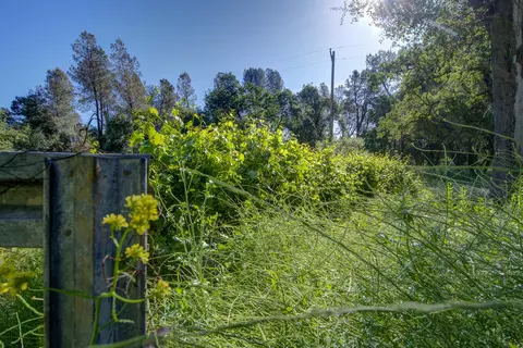 Other - 20192 Lyal Ln, Redding, CA 96002 photo 3 of 6