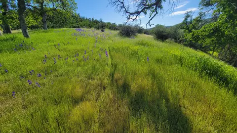 lot4 Bland Rd, Ono, CA 96047 photo 8