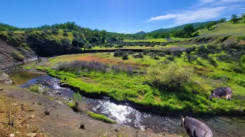 lot4 Bland Rd, Ono, CA 96047