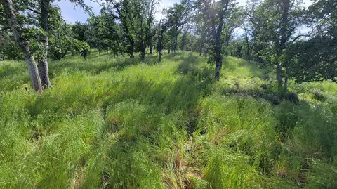 lot4 Bland Rd, Ono, CA 96047 photo 25