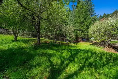 51 Millview Dr, Trinity Center, CA 96091 photo 35
