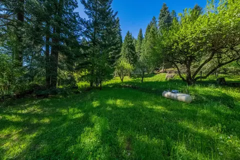 51 Millview Dr, Trinity Center, CA 96091 photo 32