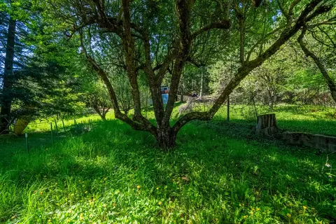 51 Millview Dr, Trinity Center, CA 96091 photo 34
