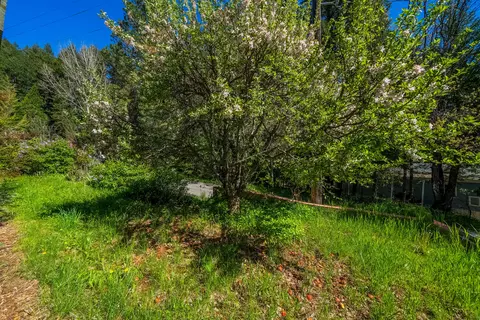 51 Millview Dr, Trinity Center, CA 96091 photo 5