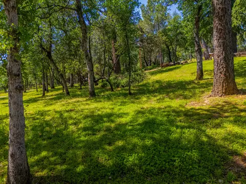 13810 Schole Dr, Redding, CA 96003 photo 81