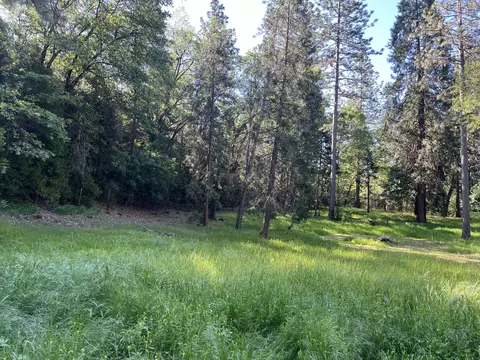 14935 Oak Run Rd, Oak Run, CA 96069 photo 44