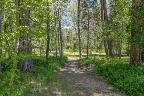 12 Billys Peak Dr, Trinity Center, CA 96091 photo 41