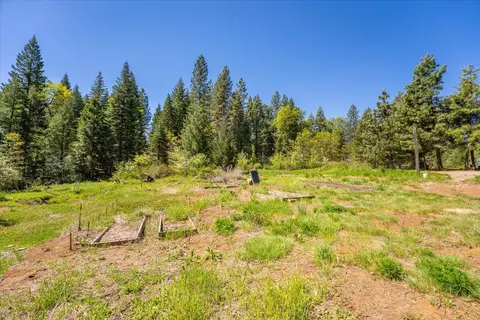 2004 Gus Hawk Rd, Big Bend, CA 96011 photo 39