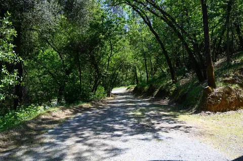 12866 Flint Creek Rd, Redding, CA 96003 photo 57