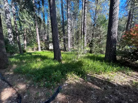30923 Tinkerbell Ln, Shingletown, CA 96088 photo 14